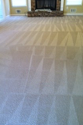 Professionally Cleaned Carpet